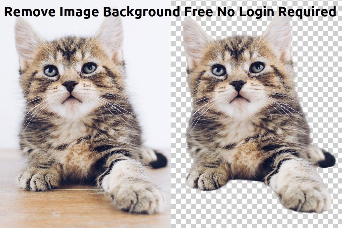 Backround Less Image XpertzTech Introduces Free 'Remove Background from Image' Tool - XpertzTech